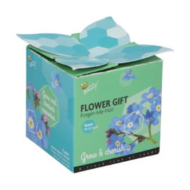 Flower Gift - Vergeet me niet