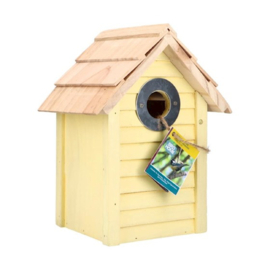 Bird Home Beach Nestkast Bonaire Yellow