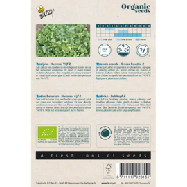 Buzzy® Organic Andijvie Nummer Vijf 2 (BIO)
