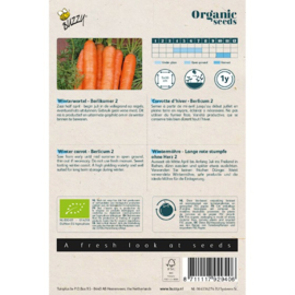 Buzzy® Organic Winterwortelen Berlikumer 2 (BIO)