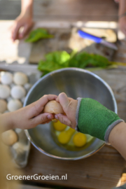 18-09-2022 - Gastblog Jelka / Groener Groeien - Moestuin lessen en natuurbeleving op school