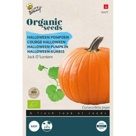 Buzzy® Organic Pompoen Jack O'Lantern (BIO)