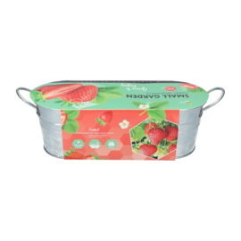 Buzzy® Small Garden Sweet Strawberry