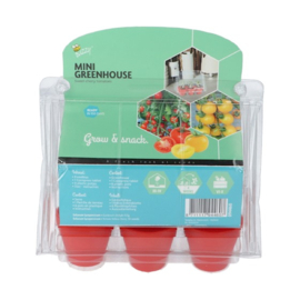Buzzy® Mini Greenhouse Sweet Cherry Tomatoes