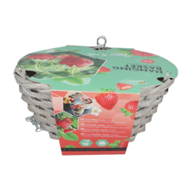 Buzzy® Hanging Basket Aardbei