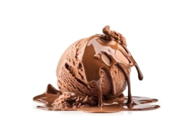 Chocolade ijs 5lt