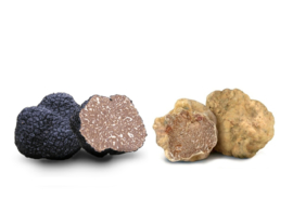 Tartufo Nero & Bianco Fresco