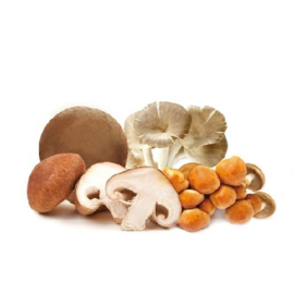 Misto Funghi con Porcini 1kg