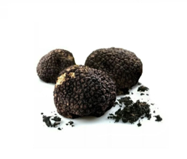 Tartufo Nero Congelato 1kg