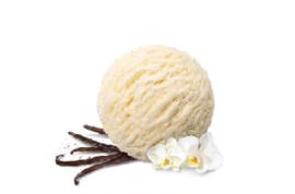 Vanille ijs 5lt