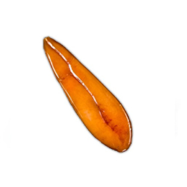 Bottarga Intera di Muggine 75gr