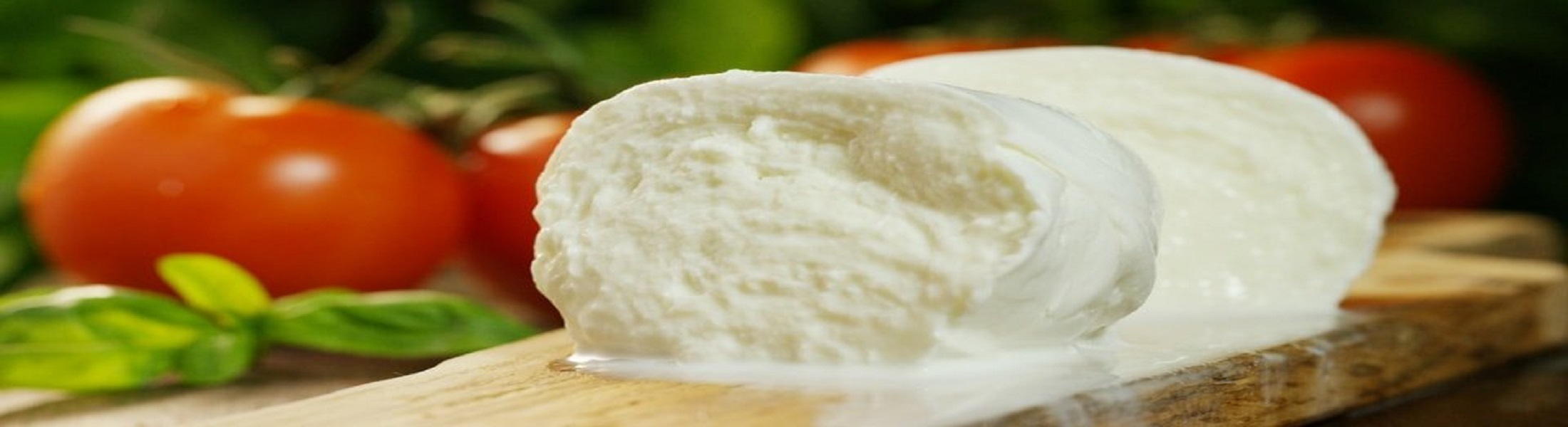Mozzarella
