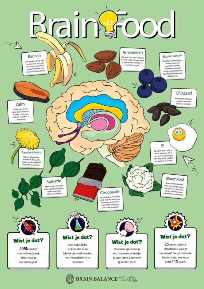 Brain Food