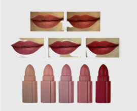 Lipstick 5 in 1