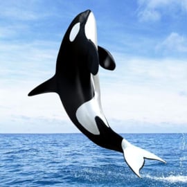 Orca Diamond Painting full