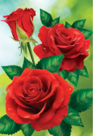 Rode Rozen Diamond Painting full