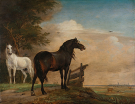 Potter paarden in wei Diamond Painting full