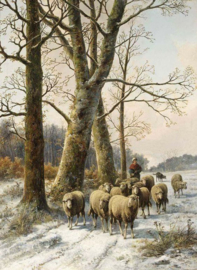 Kudde Schapen Diamond Painting full