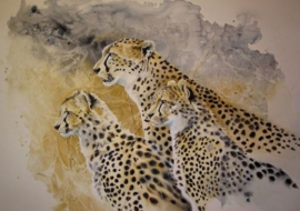 Cheeta's Diamond Painting full