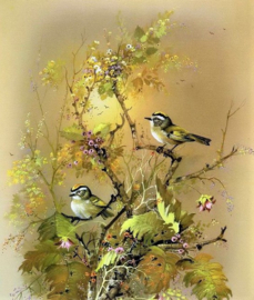 Vogeltjes Diamond Painting full