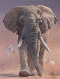 Olifant Diamond Painting full