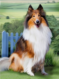 Lassie hond Diamond Painting full
