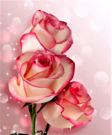 Rozen Diamond Painting full
