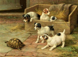 Schildpad met hondjes Diamond Painting