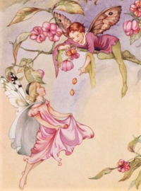 Kardinaalmuts Fee Diamond Painting