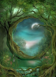 Fantasie Boom Diamond Painting full