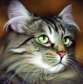 Kat Kop Diamond Painting full