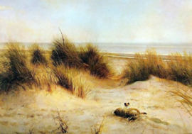 Duinen Diamond Painting