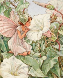 Haagwinde Fee Diamond Painting full