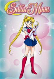 Sailor Moon Diamond Painting full