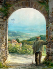 Man Uitzicht Diamond Painting full
