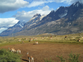 Patagonië Diamond Painting full