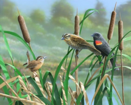 Vogels in het riet Diamond Painting