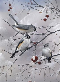 Vogeltjes in de sneeuw Diamond Painting