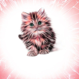 Kitten Diamond Painting full