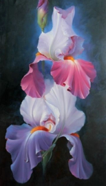 Iris Diamond Painting full