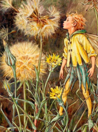 Morgenster Elfje Diamond Painting full