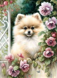 Kees Hondje Diamond Painting