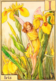 Iris Feetje Diamond Painting full