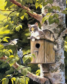 Poes met vogels Diamond Painting full