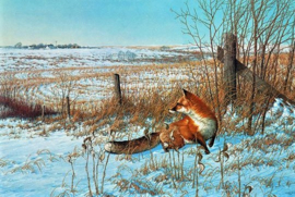 Vos in het veld Diamond Painting