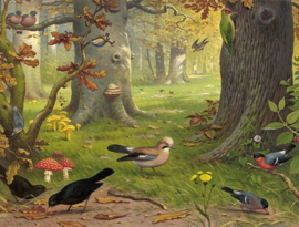 Vogels in het bos Diamond Painting