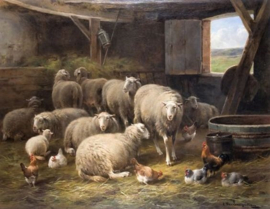 Schapen in de stal Diamond Painting