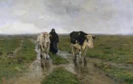 Mauve koeien vrouw Diamond Painting full