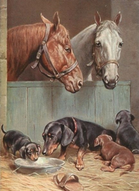 Paarden en honden Diamond Painting