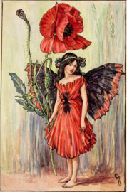 Klaproos Fee Diamond Painting full
